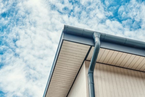 Gutter Fascia Repair in Athens